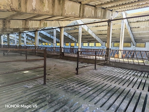 Spațiu industrial -fermă Orțișoara - imagine 6