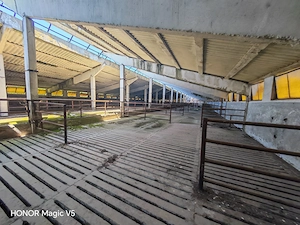 Spațiu industrial -fermă Orțișoara
