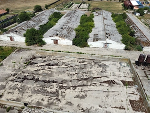 Spațiu industrial -fermă Orțișoara - imagine 19