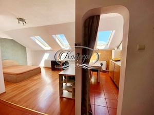 Apartament cu 1 camera in zona UMF - imagine 4