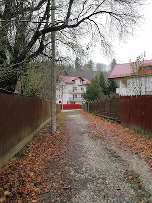 Jumatate de duplex in Sinaia - imagine 7