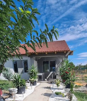 Duplex in varias jud timis 