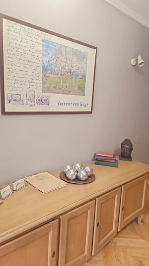 Spatiu amenajat pentru birouri. Bd. Coposu. Vedere stradala. - imagine 7