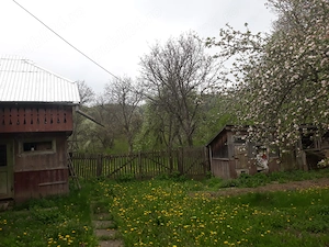 Casa Pipirig-tg Neamt - imagine 3