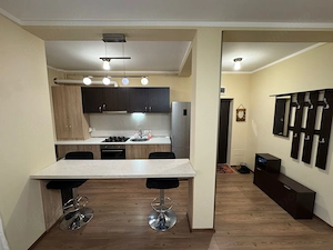 apartament 2 camere, et.1, in Dumbravita, mobilat, utilat - imagine 4