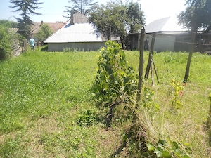 Casa la 25 km de Piatra Neamt spre Bacau - imagine 6