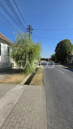 Casa saseasca de vanzare in Petresti judetul Alba - imagine 8