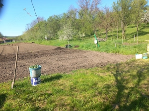 Casă bătrânească de vânzare   locuința ideală pentru liniște și natură  - imagine 4