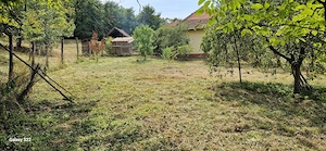 Se vinde casa la tara judetul Arad comuna Hasmas sat clit - imagine 3