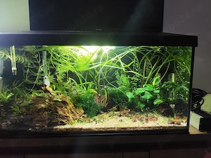 Acvariu 54 litri aquael leddy 60 