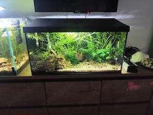 Acvariu 54 litri aquael leddy 60  - imagine 2