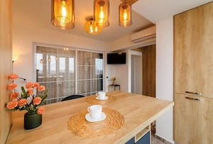 Panorama spre Piata Unirii-Apartament premium renovat integral-Airbnb Ready