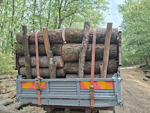 vând lemne de foc esență tare cer,fag,carpen,stejar cantitate garantata  transport gratuit  lemnele 