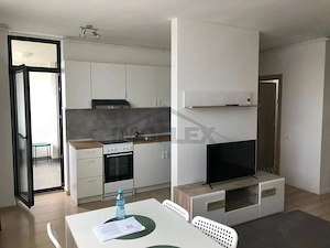 Apartament cu 2 camere de inchiriat - imagine 3