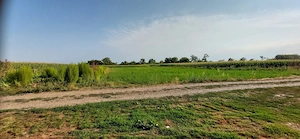 Teren intravilan, 4200 mp, 60 m front stradal   Dumbrăvița, comuna Ibănești, județul Botoșani - imagine 2