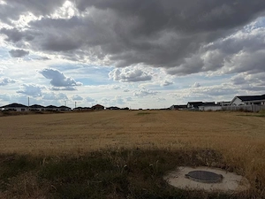 Teren intravilan 10.000 mp Santandrei | Toate utilitatile - imagine 6