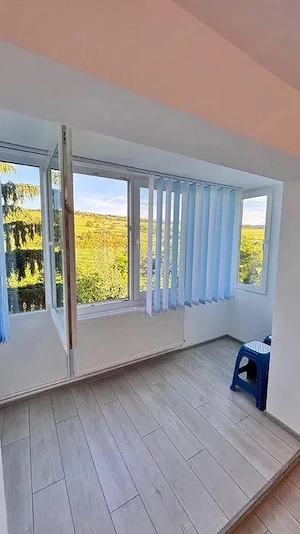 Dambu Pietros - Vanzare apartament 3 camere - Str. Godeanu - imagine 7