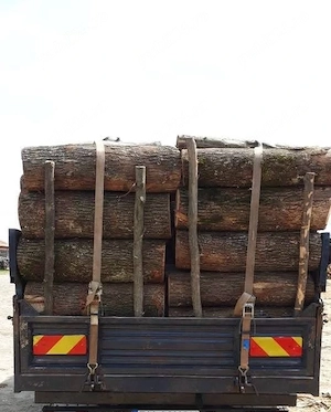 Lemne de foc
