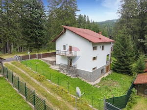 Casa 5 camere | viata la marginea padurii, intre brazi si liniste