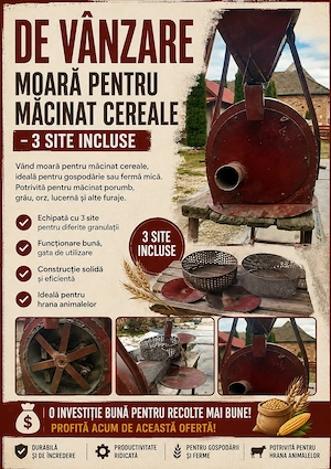 Moara de măcinat