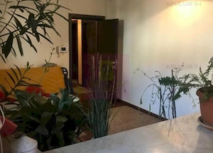 Vila Floreasca- Barbu Vacarescu- stradal. - imagine 20