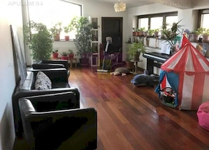 Vila Floreasca- Barbu Vacarescu- stradal. - imagine 11
