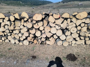 De vanzare lemne de foc carpen stejar fag calitate superioara 