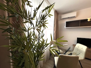 Apartament premium cu 1 cameră | Renovare completă | 9/10 | Tiglina 1 - imagine 13