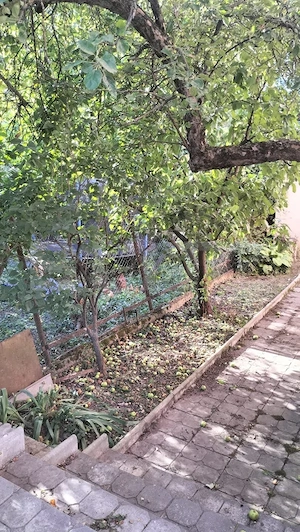 Casa 4 camere,  teren 500 m, pivnita, Bartomoleu 145m utili - imagine 5