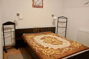 Zona Lipovei, apartament cochet, centrala proprie.