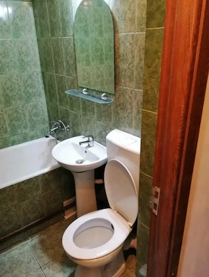 Apartament cu 1 camera in Tudor Vladimirescu - imagine 5