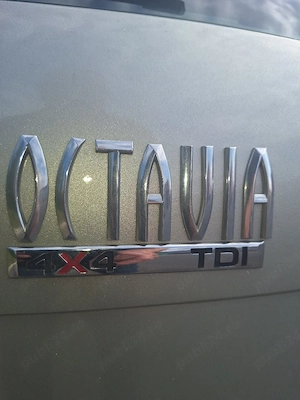 Vand Skoda Octavia 