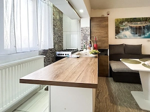 Apartament la pret de garsoniera cu gradina de 35mp + parcare - imagine 8