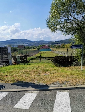 Teren de vanzare 12 ari, strada Valea Ghinzii, Bistrita - imagine 5