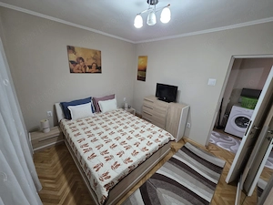 De inchiriat apartament 2 camere in Piata Victoriei -  958 - imagine 6