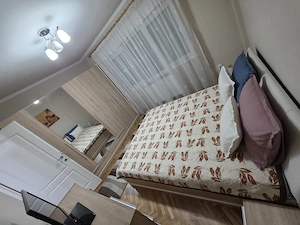 De inchiriat apartament 2 camere in Piata Victoriei -  958 - imagine 4