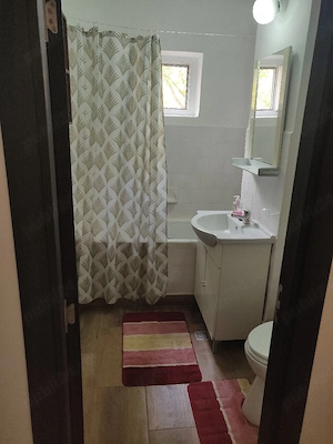 Inchiriez ap 2 camere PB zona Nufarul, Leornado da Vinci - imagine 4