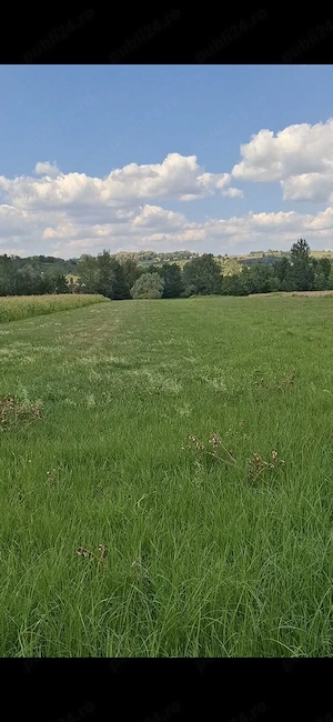 Vand Pamant în Chechiș , Maramureș  - imagine 2