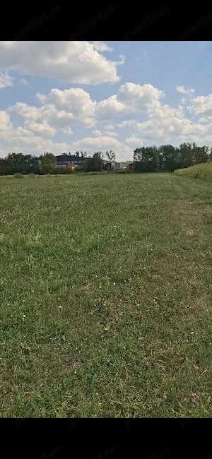 Vand Pamant în Chechiș , Maramureș  - imagine 3