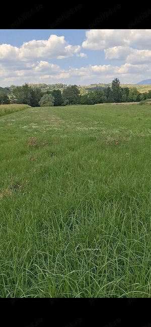 Vand Pamant în Chechiș , Maramureș 
