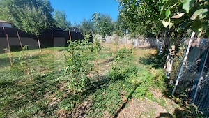 Casa individuala de vanzare, 124 mp, teren 3.860 mp, zona Chichis - imagine 17