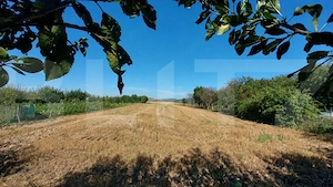 Casa individuala de vanzare, 124 mp, teren 3.860 mp, zona Chichis - imagine 18