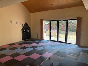 De inchiriat casa în zona Take Ionescu, suprafață utila 314 mp, demisol+parter+etaj