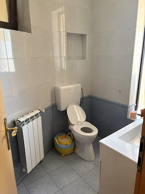 De inchiriat casa în zona Take Ionescu, suprafață utila 314 mp, demisol+parter+etaj - imagine 12