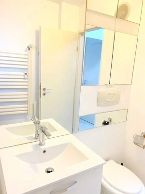 apartament 2 camere-teiul doamnei-modern-facultatea de constructii - imagine 7