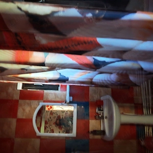 Casa de vinzare in Cotu Vameș  localitatea Horia județul Neamț  - imagine 3