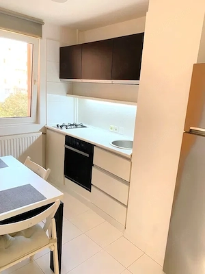 apartament 2 camere-teiul doamnei-modern-facultatea de constructii - imagine 5