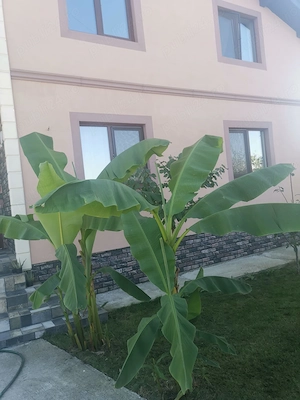 Vând Casa  Individuală  - imagine 6