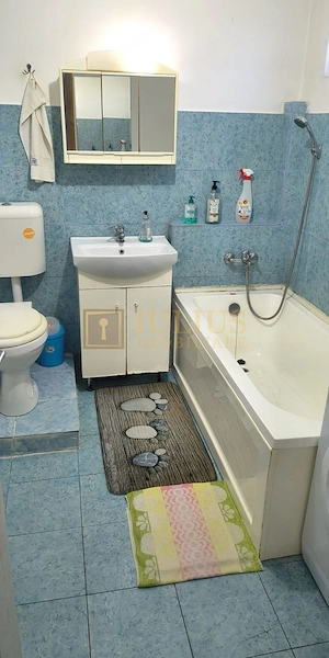 3 camere in Iosefin - imagine 12