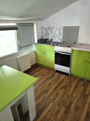 3 camere in Iosefin - imagine 11